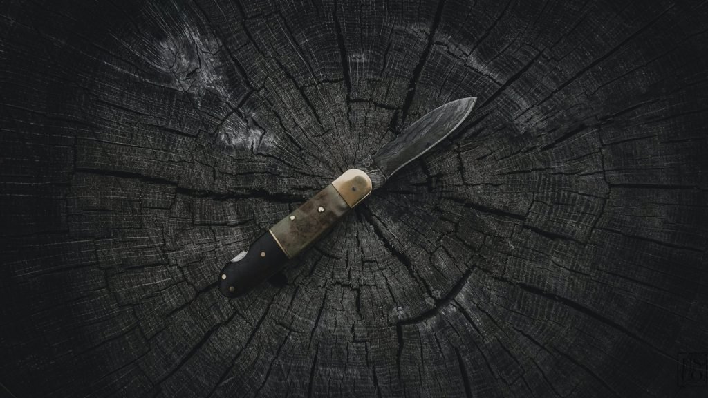 Pocket knives sitting on a log - The Skilled Survivor