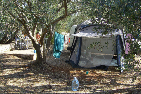 best family tent with screen room set up at campsite