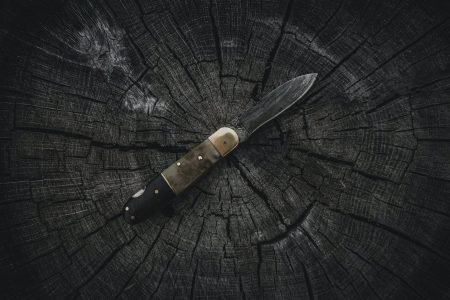 Pocket knives sitting on a log - The Skilled Survivor